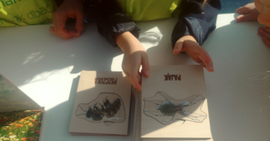 Dziecko trzymające grafikę pająka, po lewej stronie leży grafika pszczoły