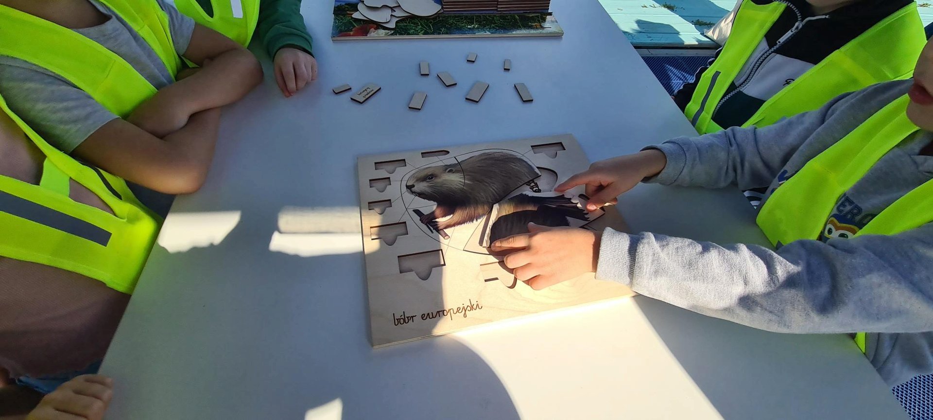 Dzieci układające obrazek bobra - grafika artykułu