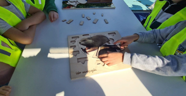 Dzieci układające obrazek bobra
