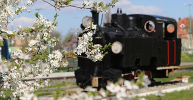 У неділю, 24 березня, у зв'язку з початком календарної весни, запустять паркову залізницю «Мальтанка».фото MPK